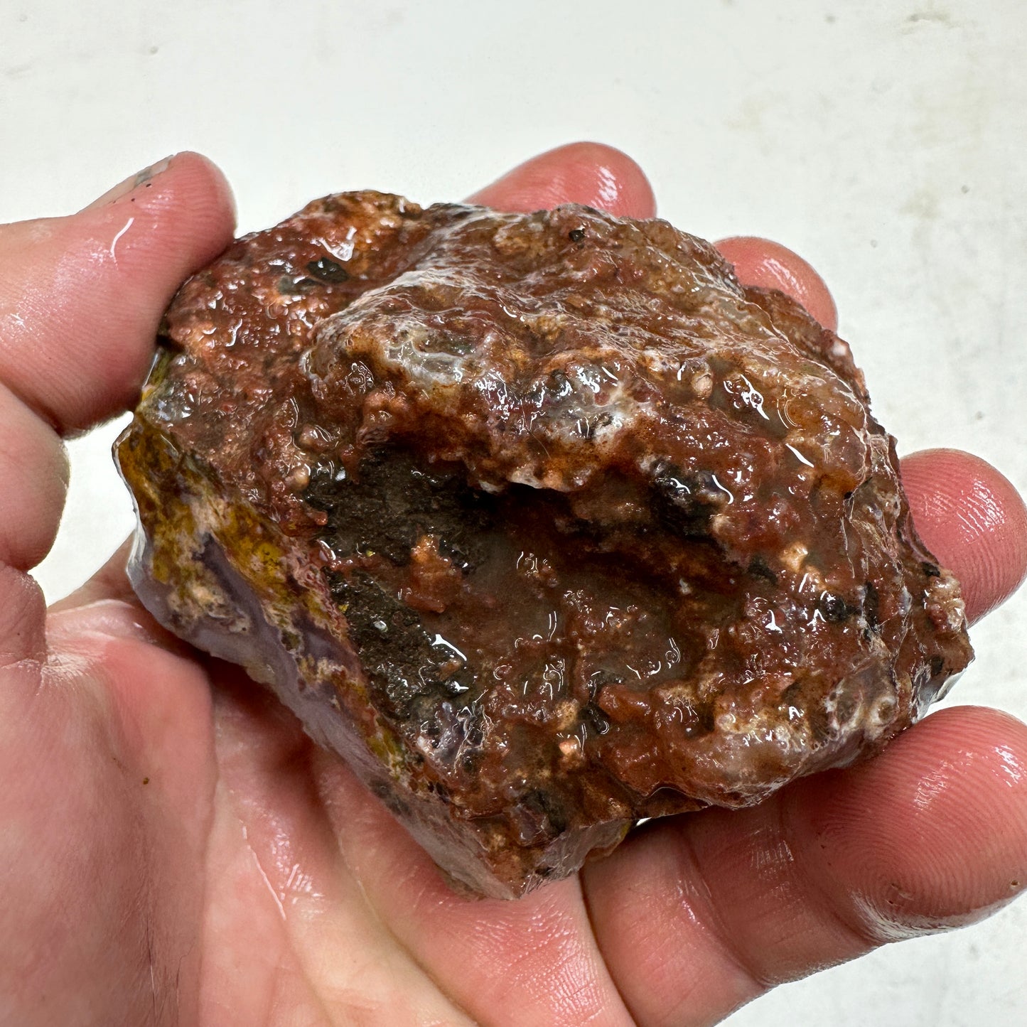 MOROCCAN AGATE Rough - 0.82 Pounds