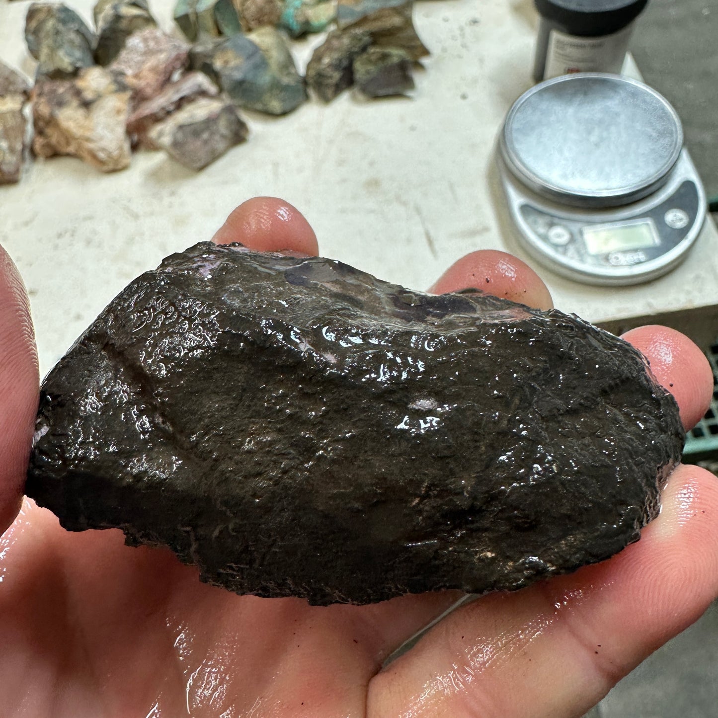 TIFFANY STONE Rough - 0.43 Pounds