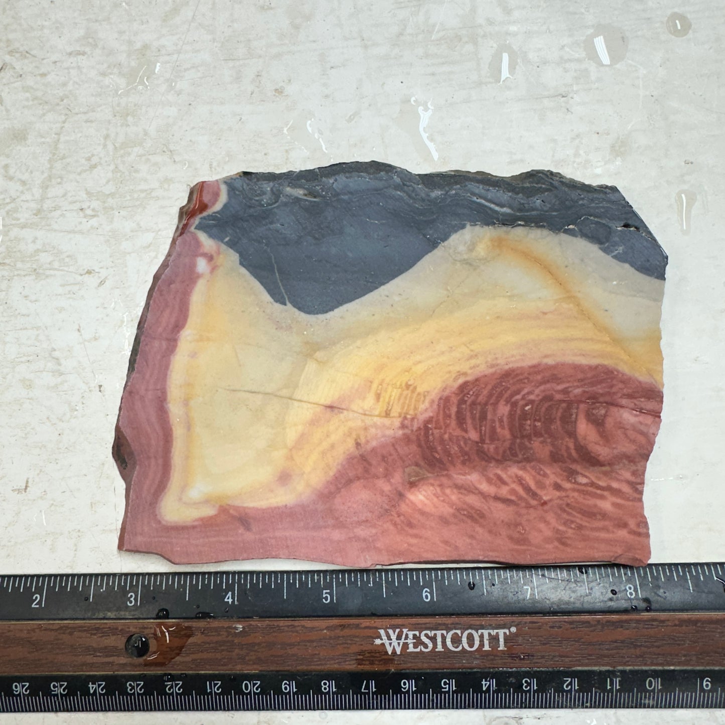 WINDY MOUNTAIN JASPER Slab - 232 grams