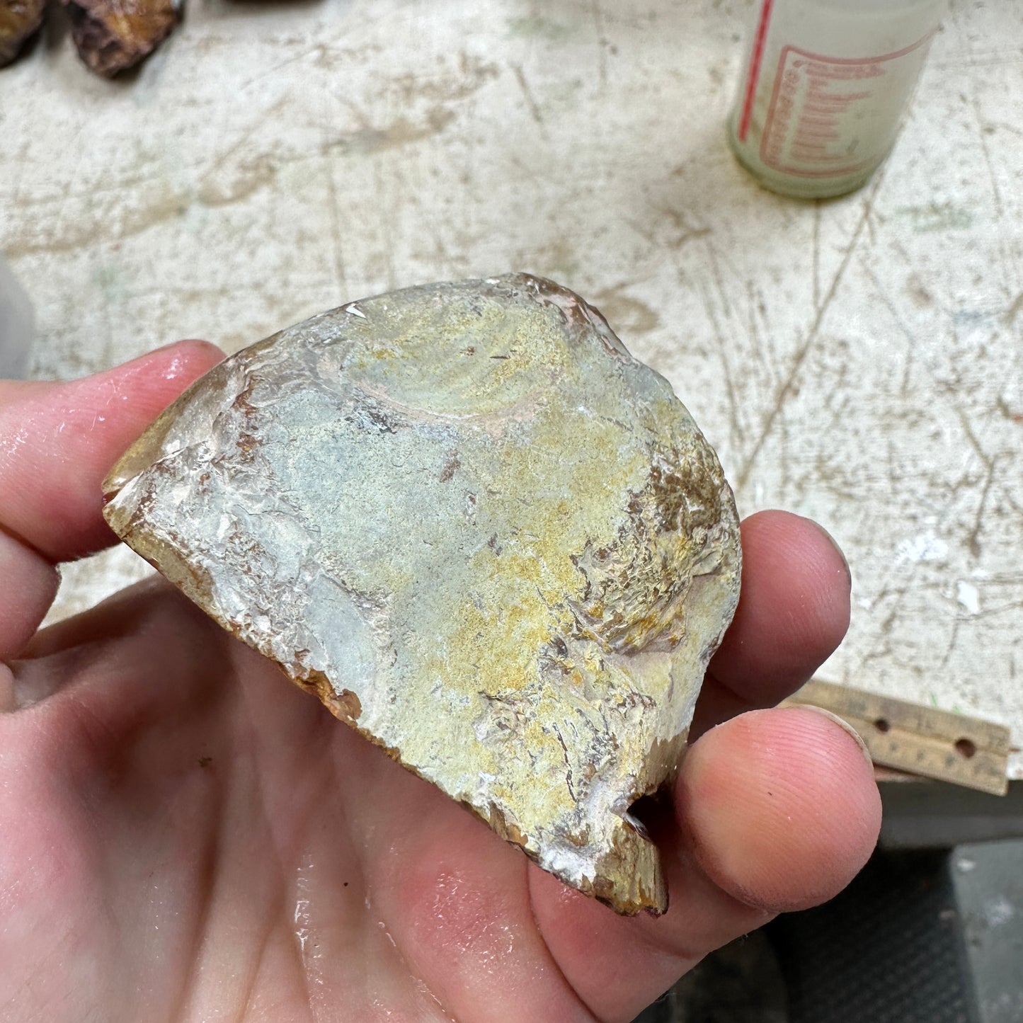 POLYCHROME JASPER Faced Rough - 0.88 Pounds