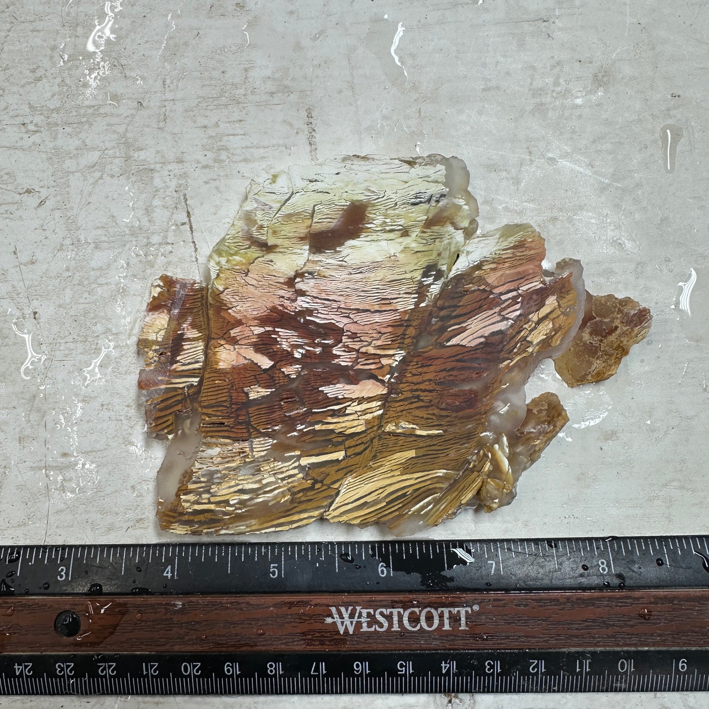 SUNSET HOWARDITE Slab - 124 grams