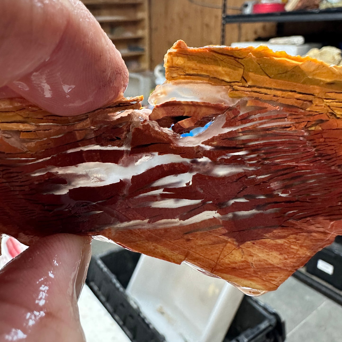 SUNSET HOWARDITE Slab - 62 grams