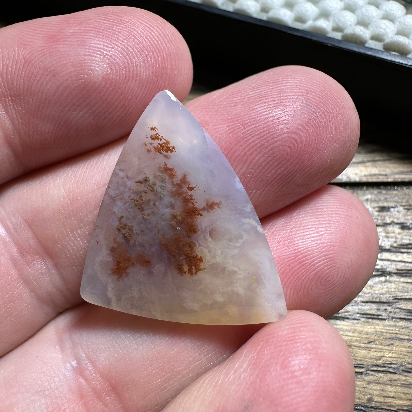 CAREY PLUME AGATE cabochon