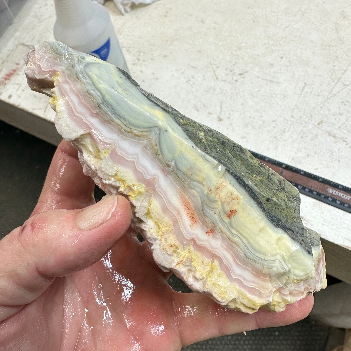 WINDY MOUNTAIN AGATE Rough - 1.09 Pounds