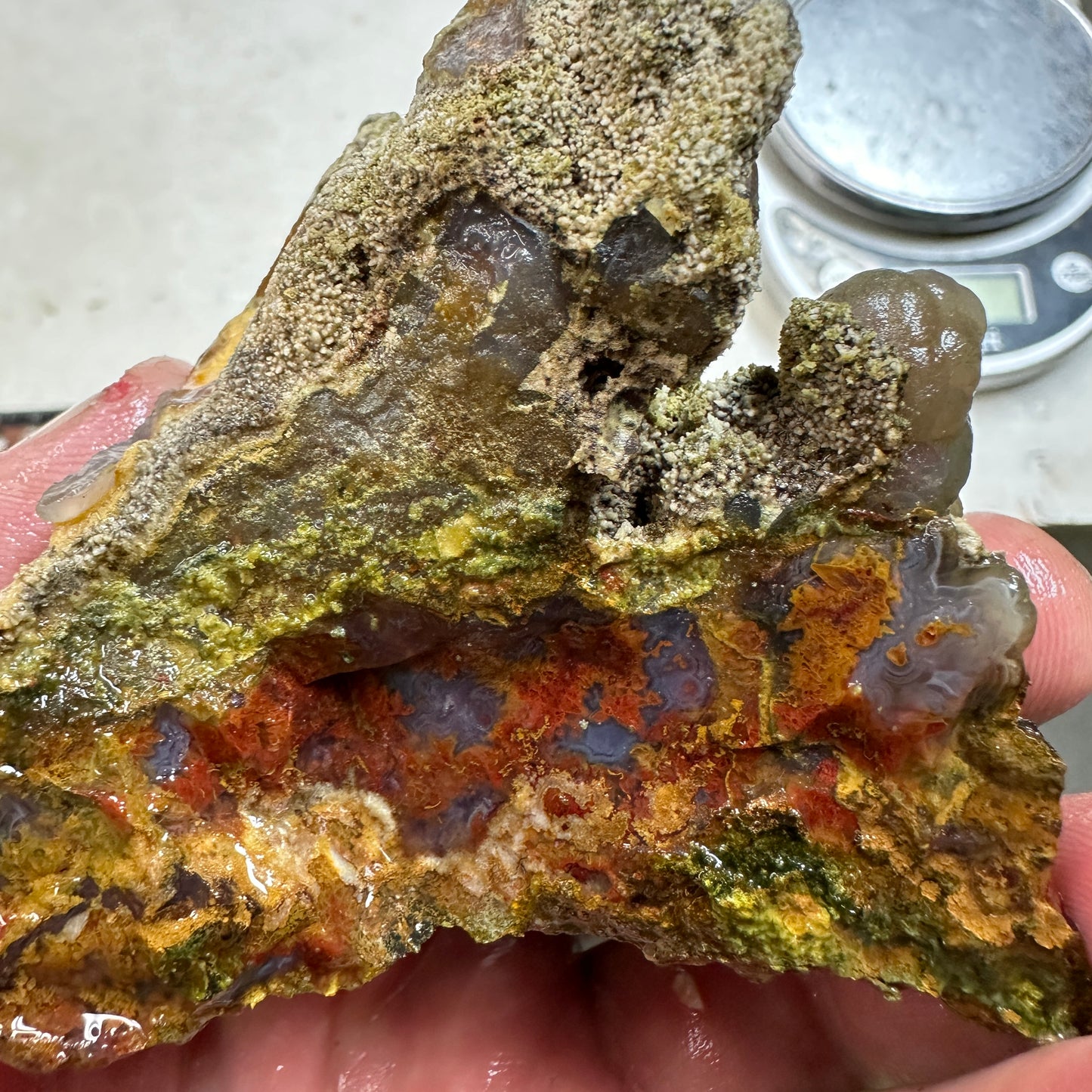 CATHEDRAL AGATE Rough - 0.76 Pounds