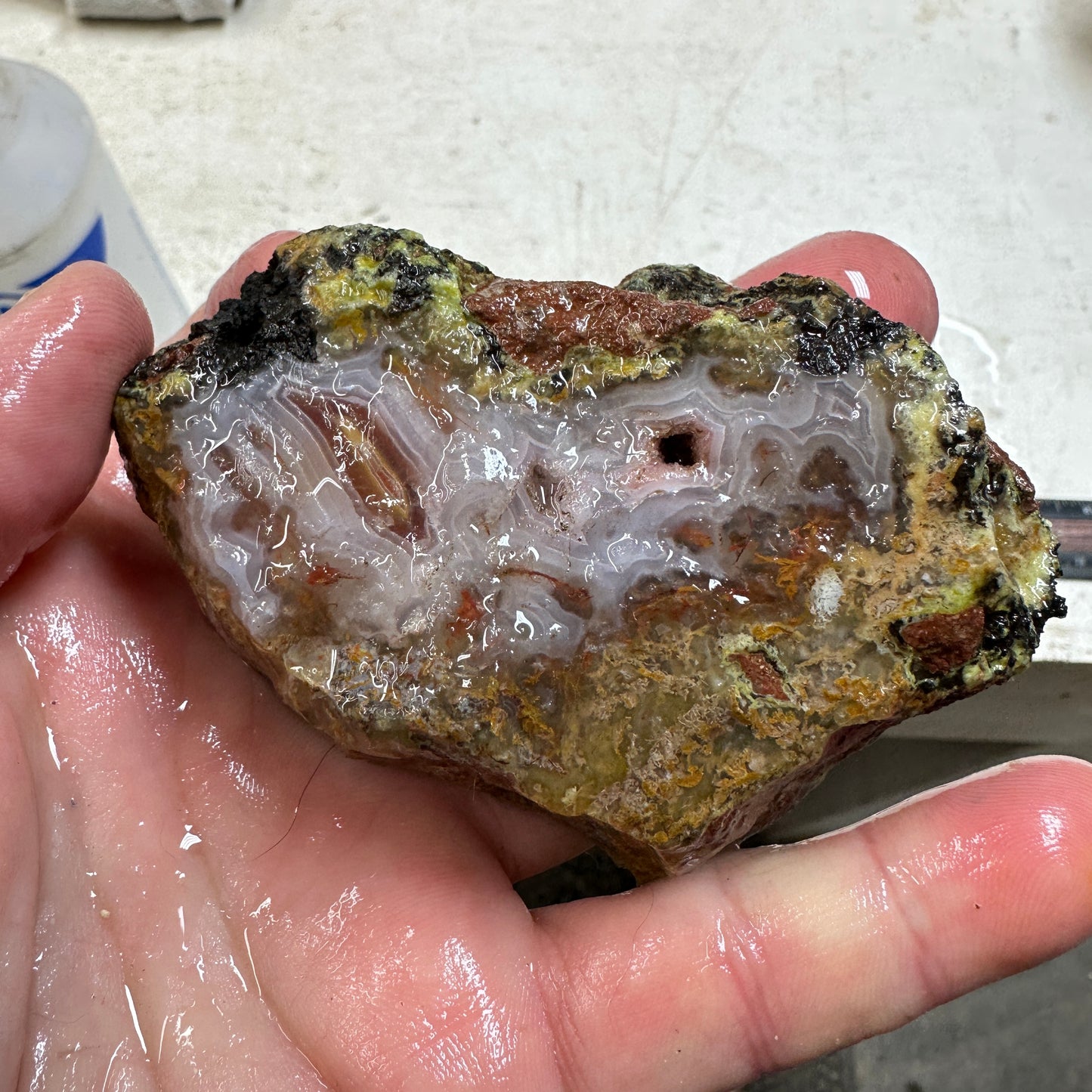 AGUA NUEVA AGATE Rough - 0.51 Pounds