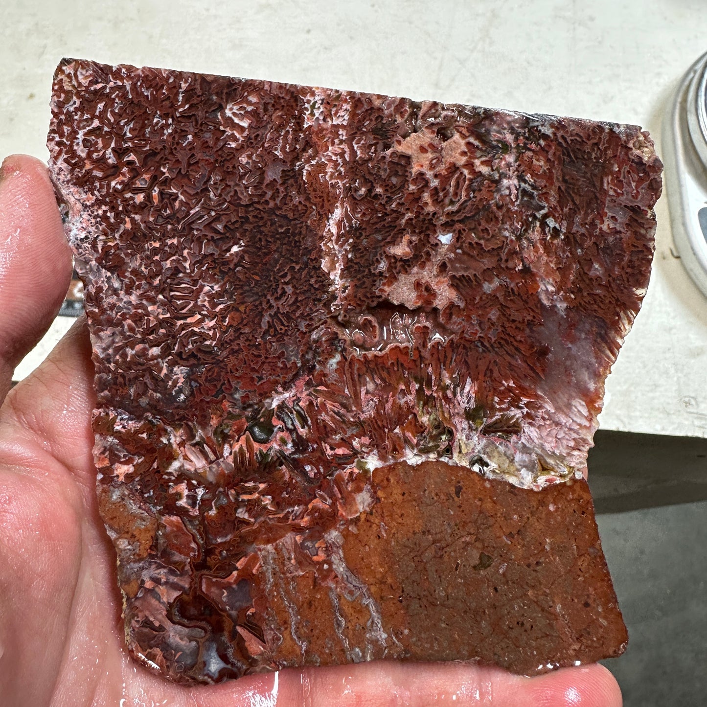 CADY MOUNTAIN AGATE Slab - 222 grams