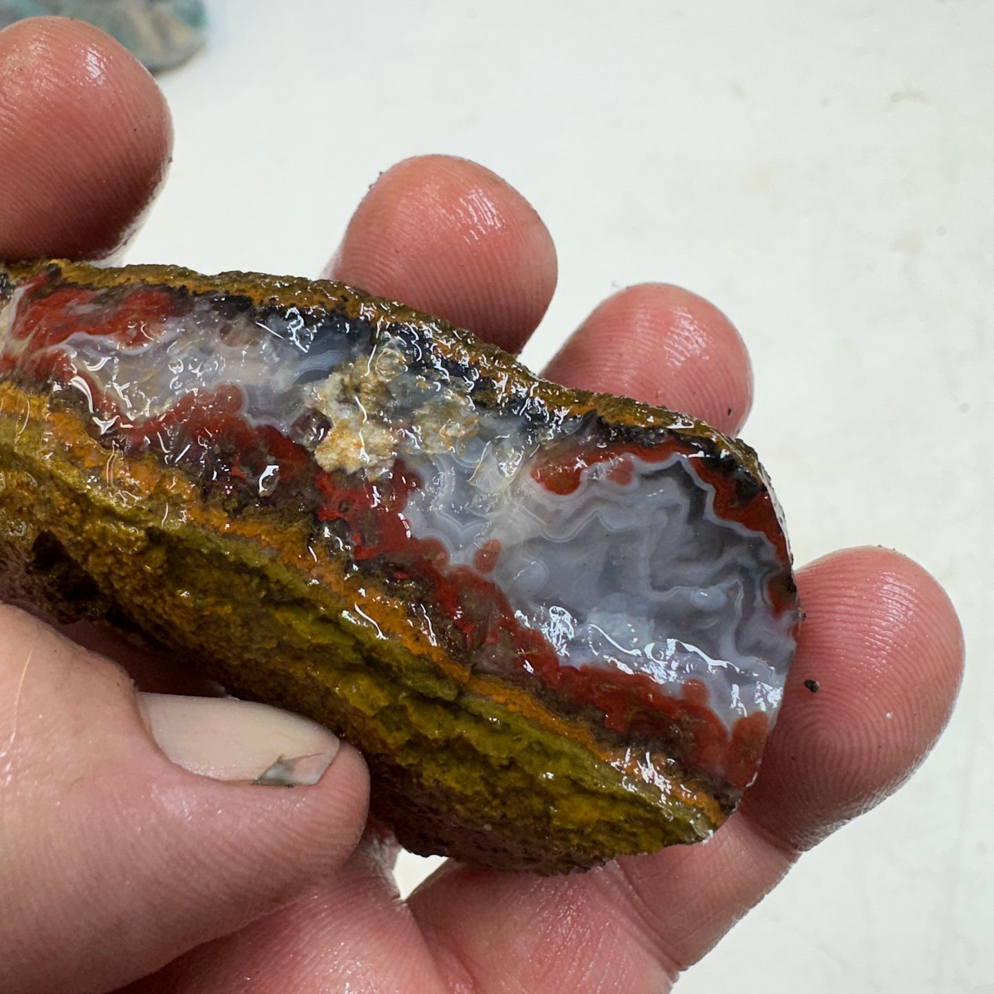 MOROCCAN SEAM AGATE Rough - 0.36 Pounds