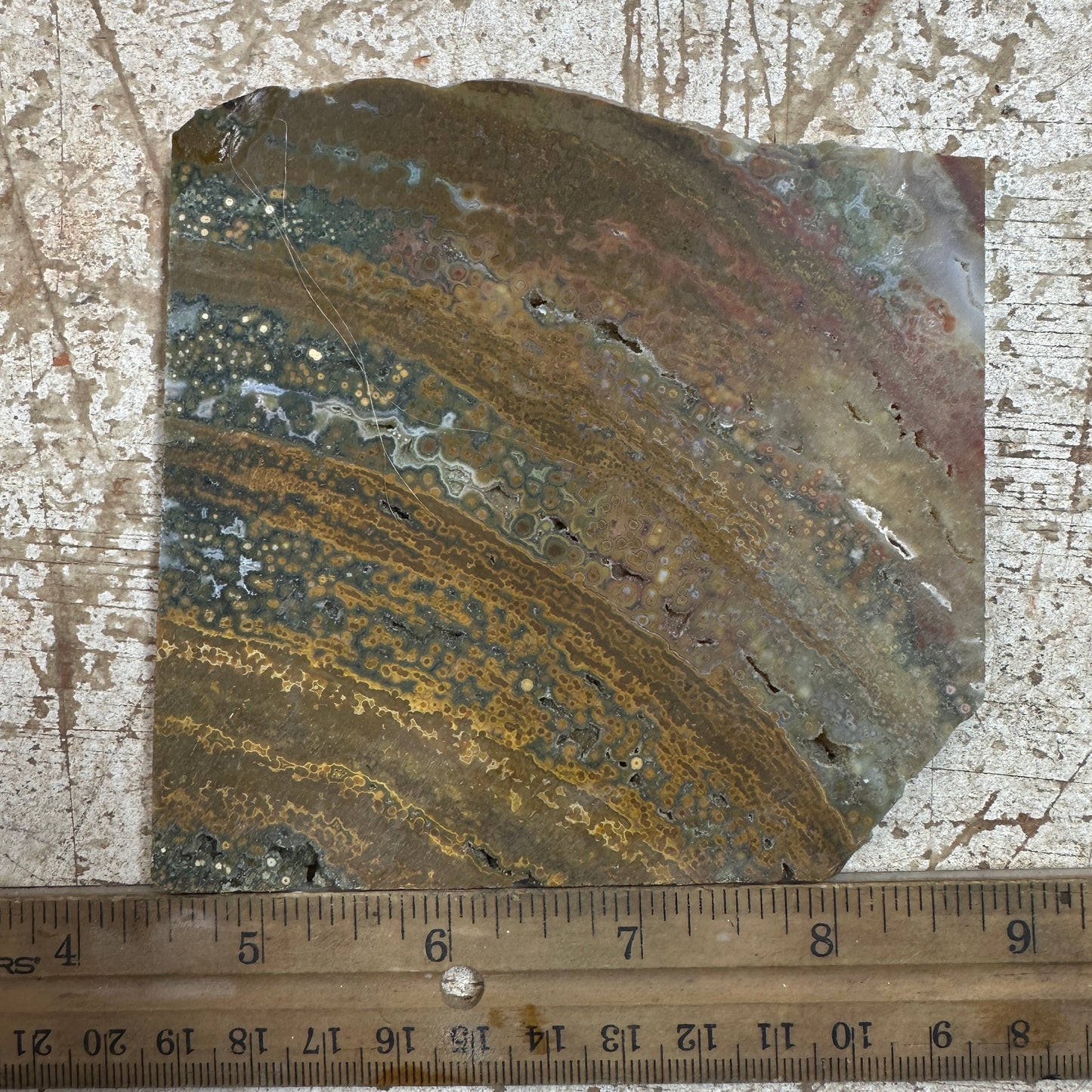 RIVER JASPER Slab - 186 grams