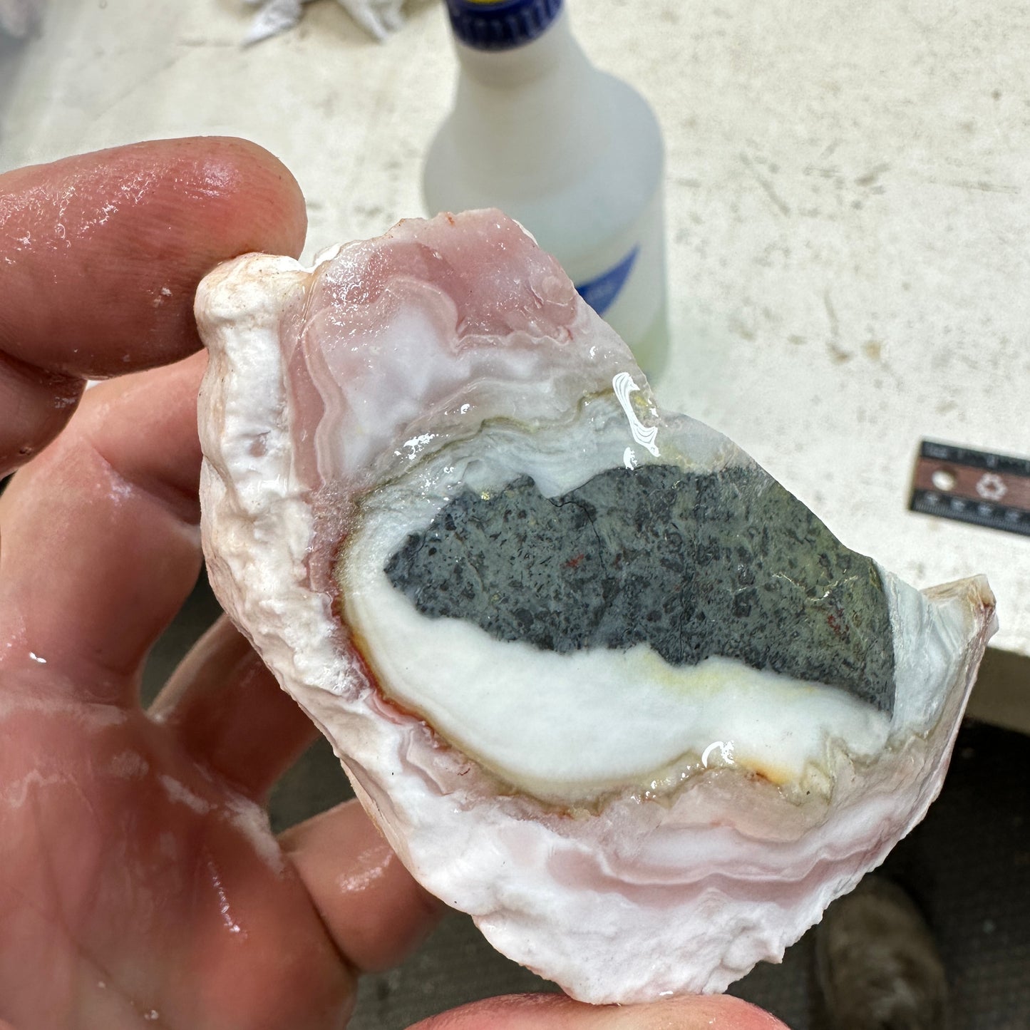 WINDY MOUNTAIN AGATE Rough - 0.53 Pounds