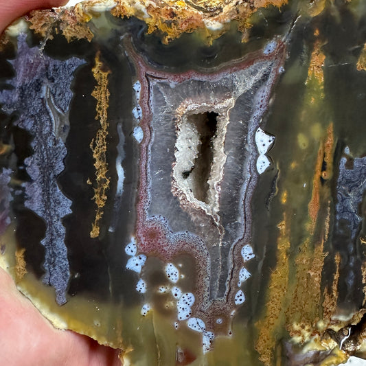 EAST TIMOR AGATE Faced Rough - 1.71 Pounds