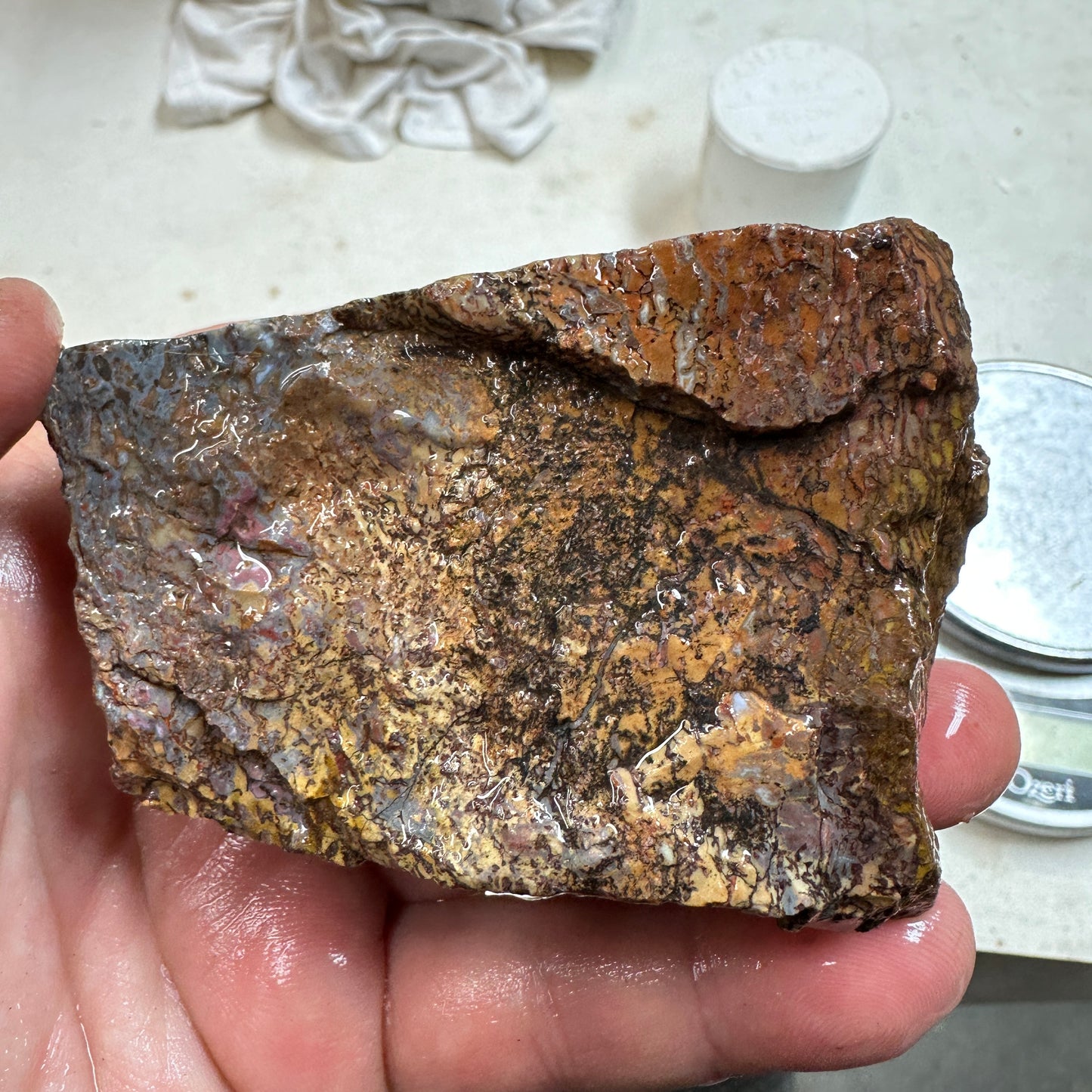 GEMBONE Dinosaur Bone Faced Rough - 0.86 Pounds