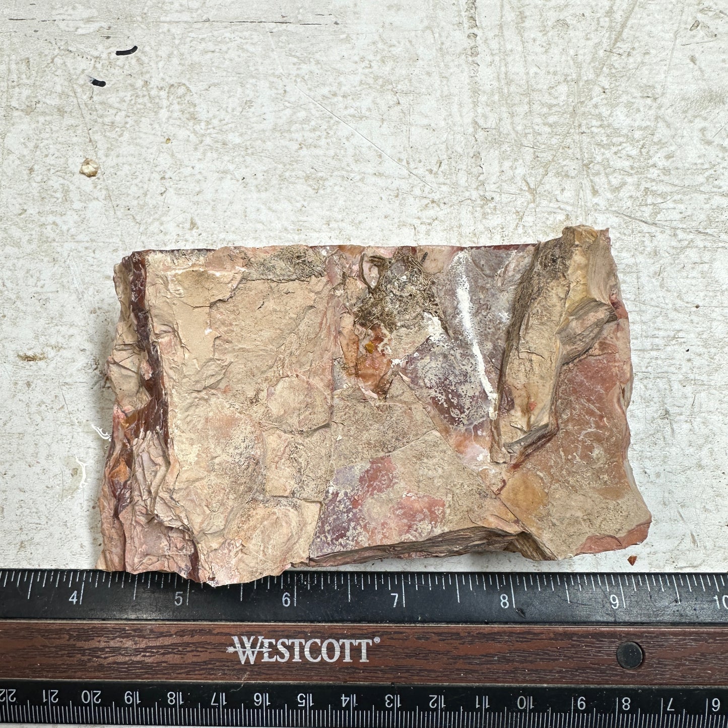 Red HOWARDITE Faced Rough - 11.7ozs