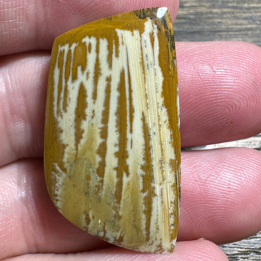 OWYHEE JASPER cabochon