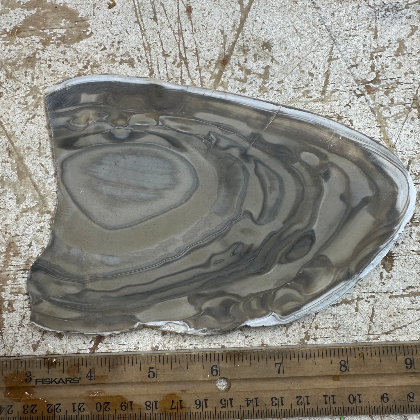 POLISH FLINT Slab - 243 grams