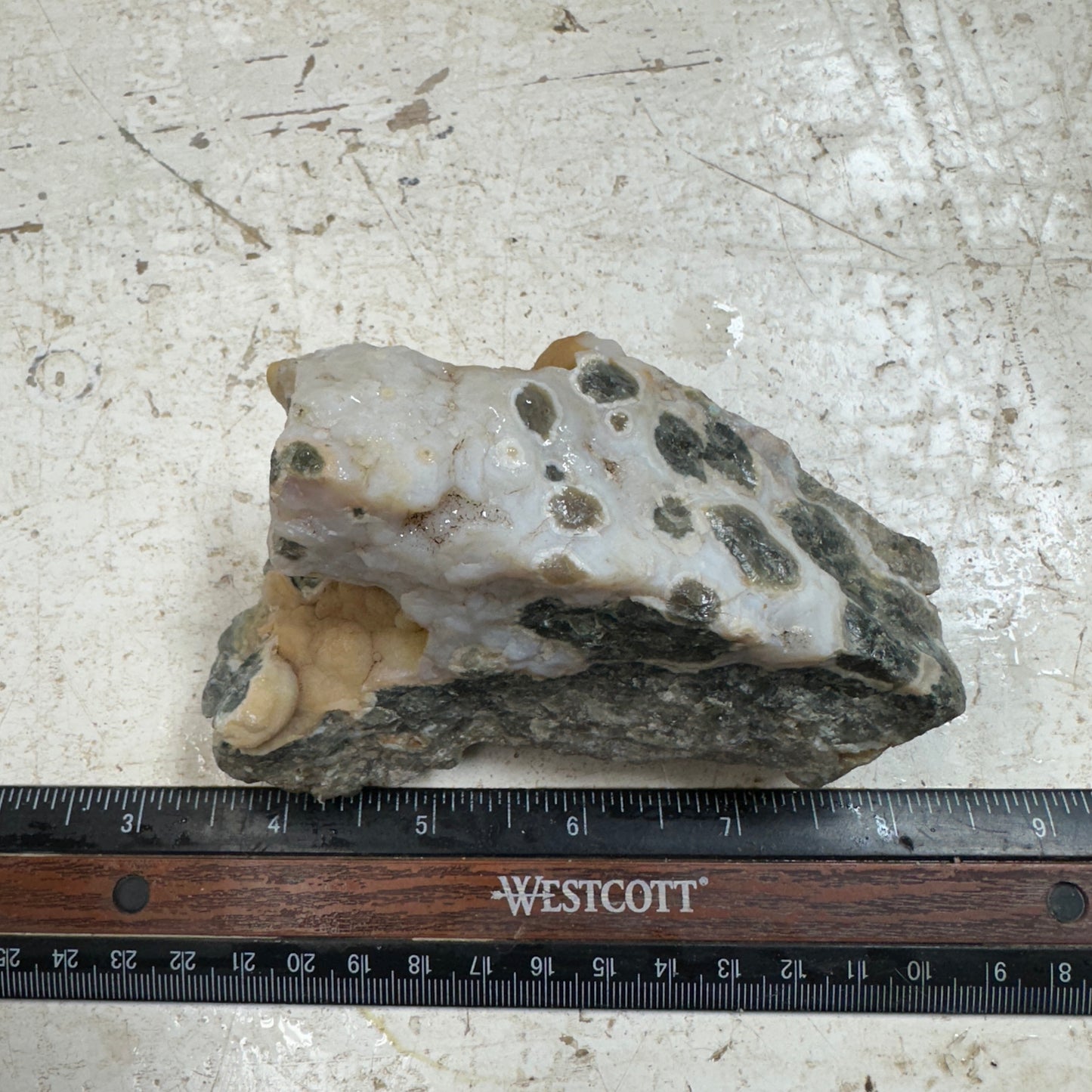 OCEAN JASPER Rough - 0.98 Pounds