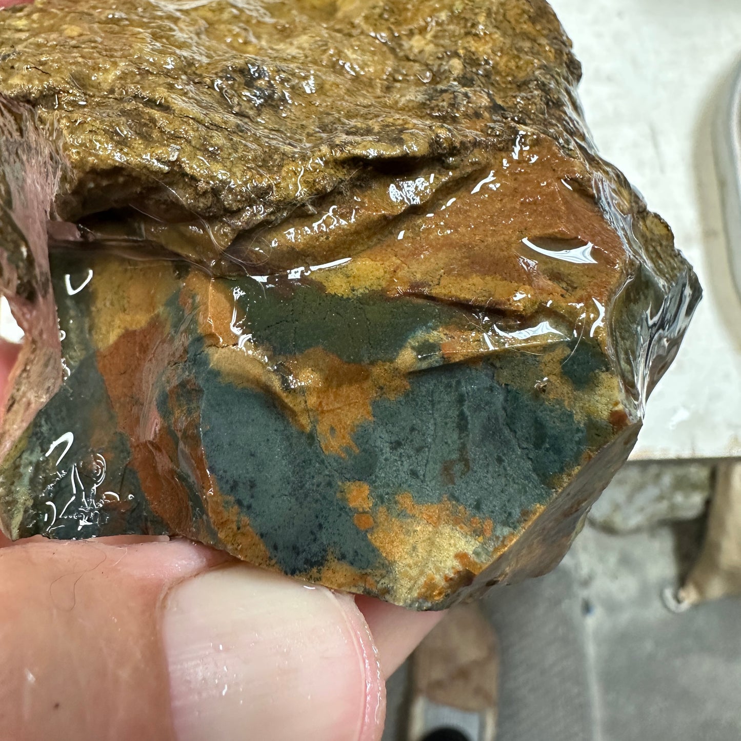 ECHO RIDGE JASPER Rough - 0.90 Pounds