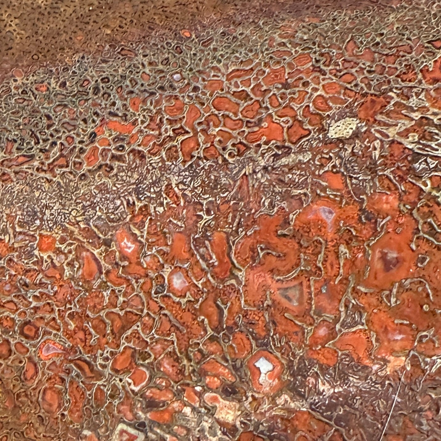 GEMBONE Dinosaur Bone Slab - 142 grams