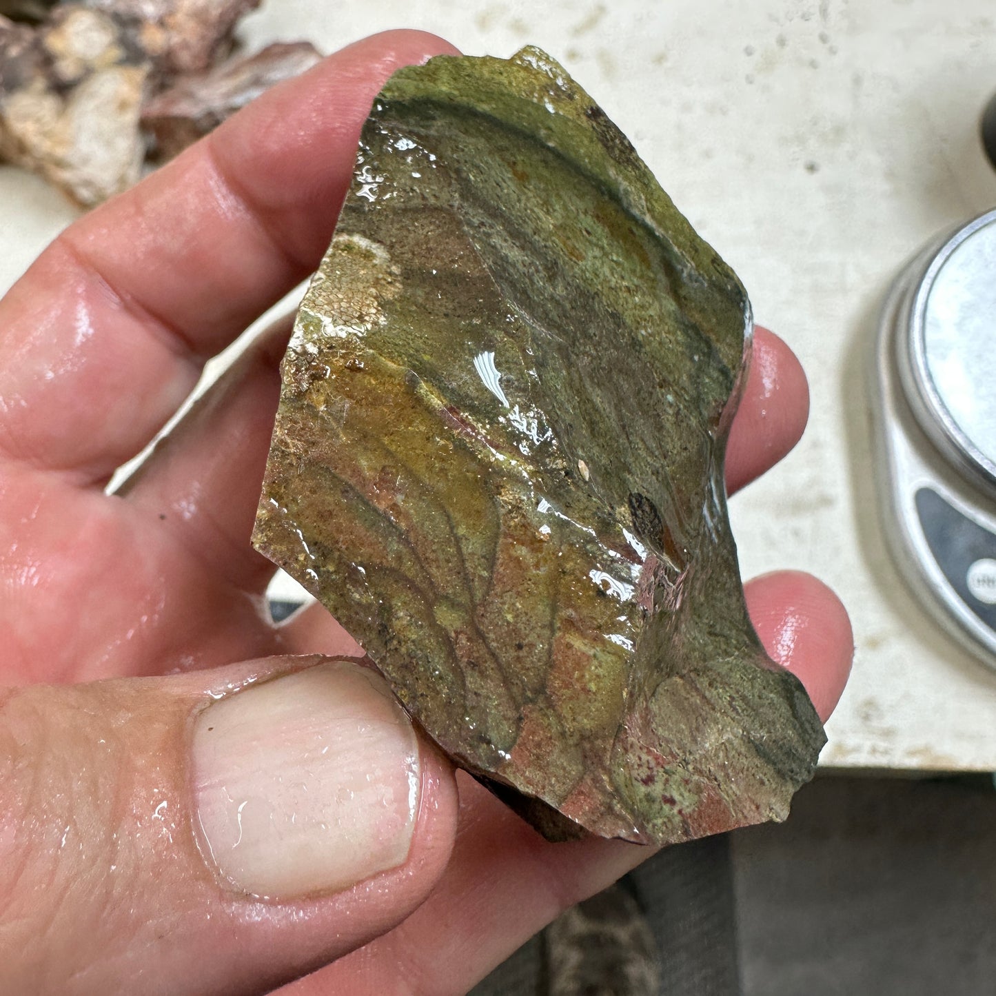 Orbed ECHO RIDGE JASPER Rough - 0.34 Pounds