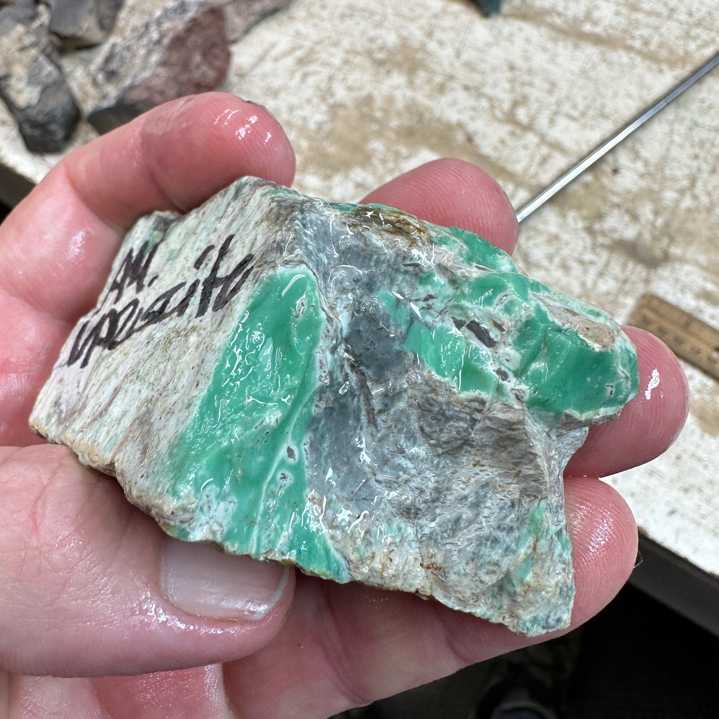 AUSTRALIAN VARISCITE Faced Rough - 229 grams