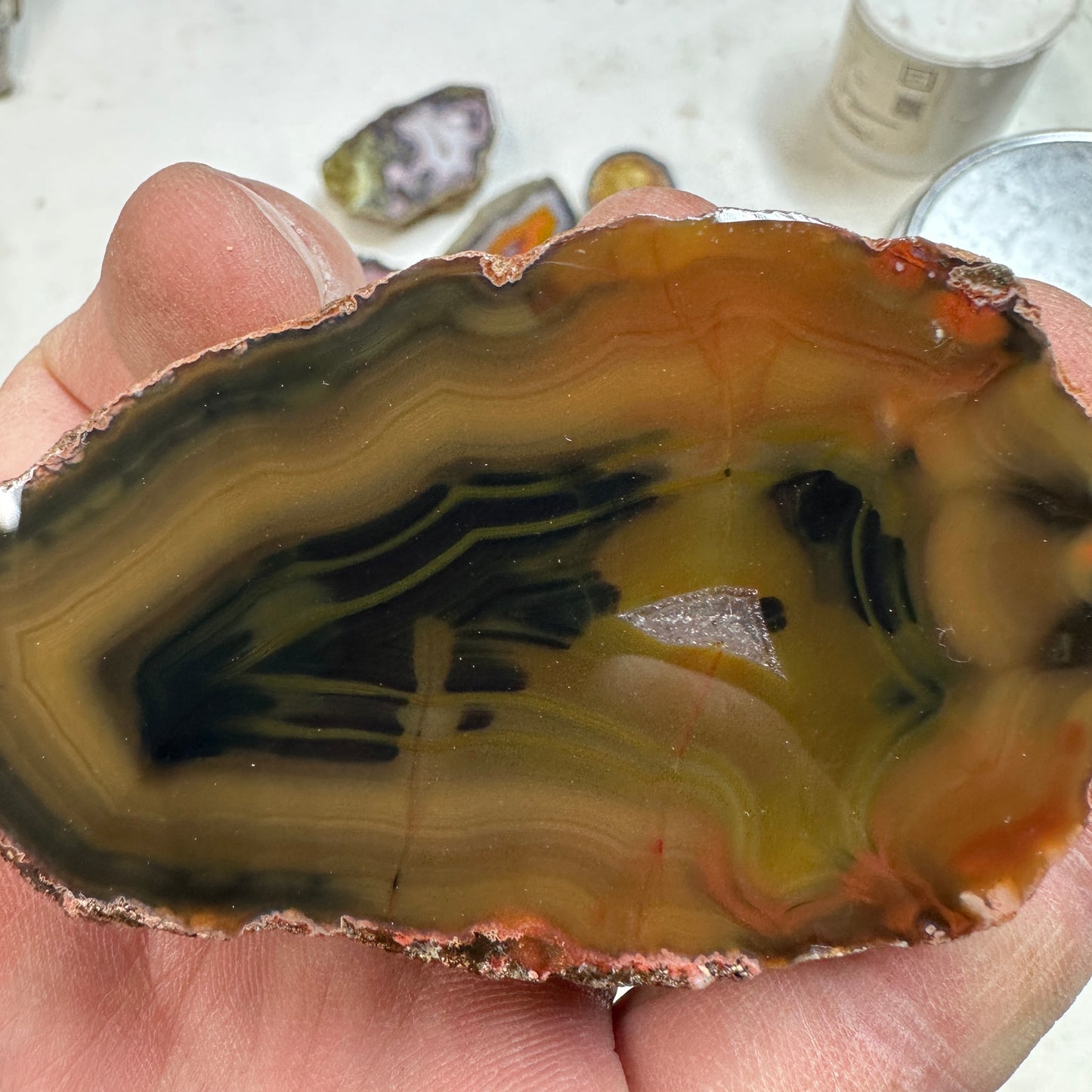 CONDOR AGATE Polished Specimen