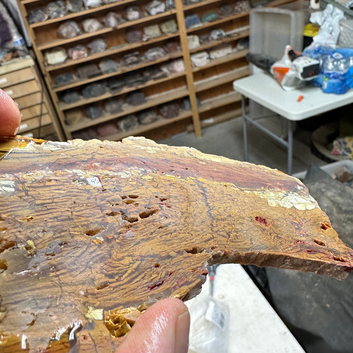 HOWARDITE Slab - 123 grams