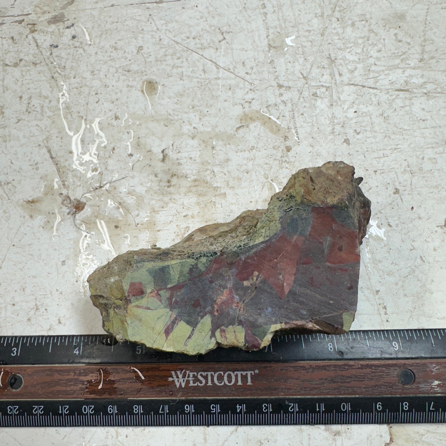 ECHO RIDGE JASPER Rough - 0.81 Pounds