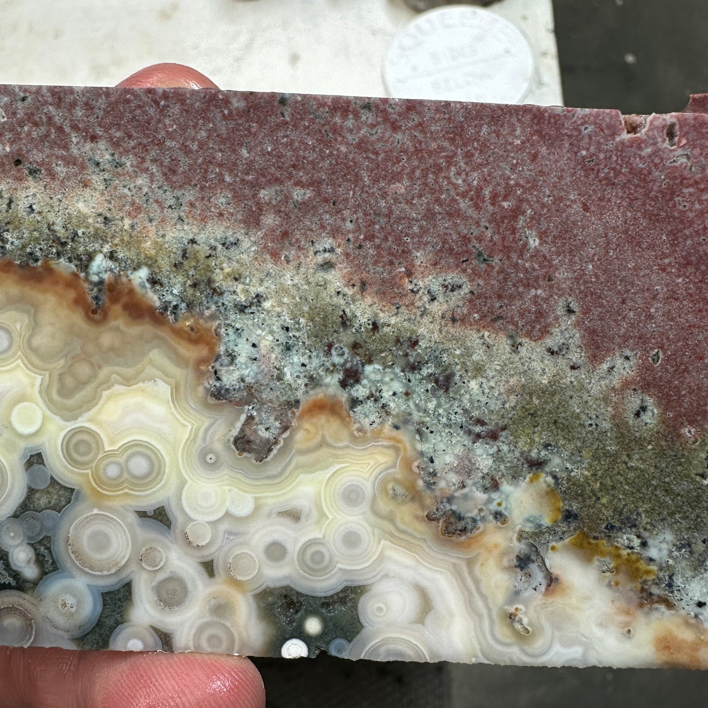 OCEAN JASPER Slab - 195 grams