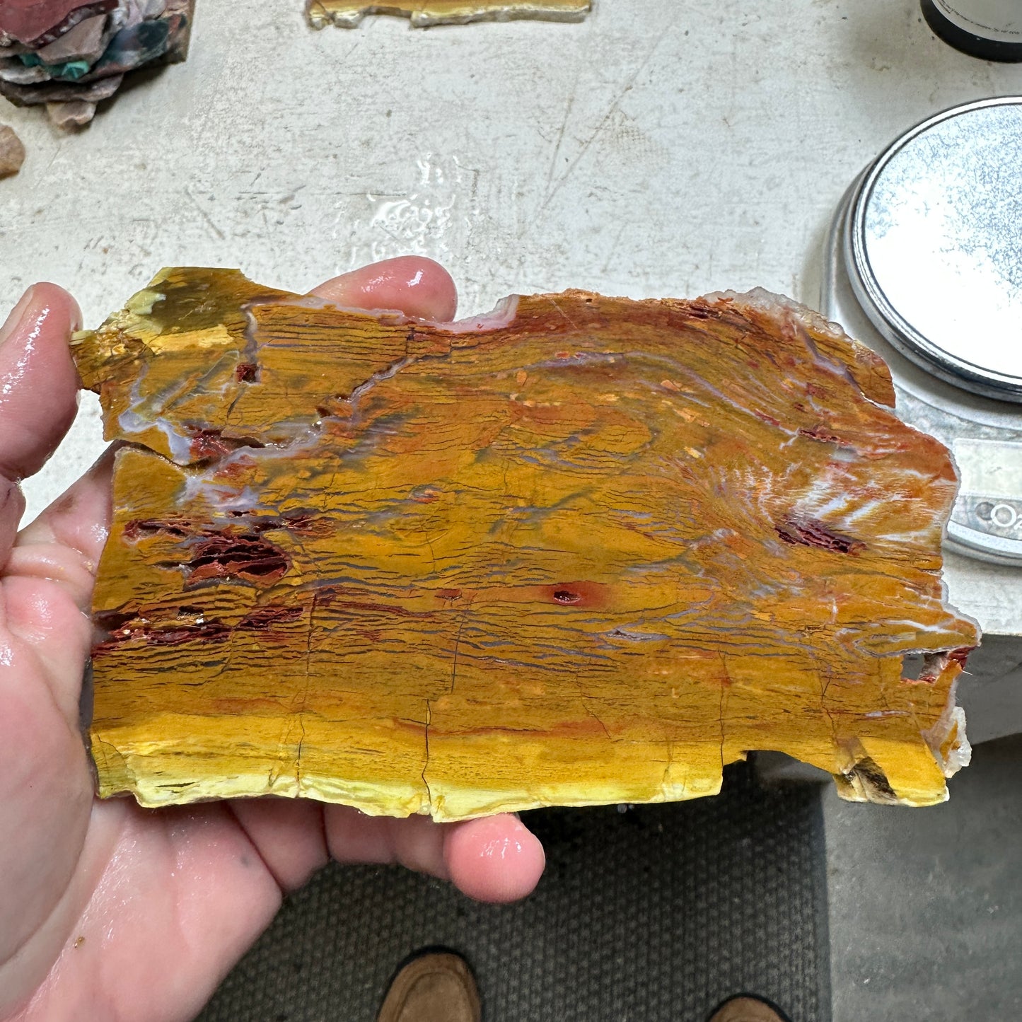 HOWARDITE Slab - 220 grams