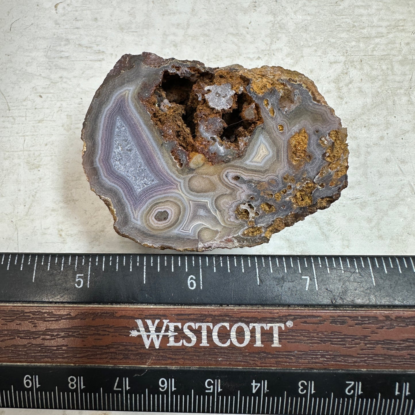 COYOMITO AGATE Rough - 0.21 Pounds