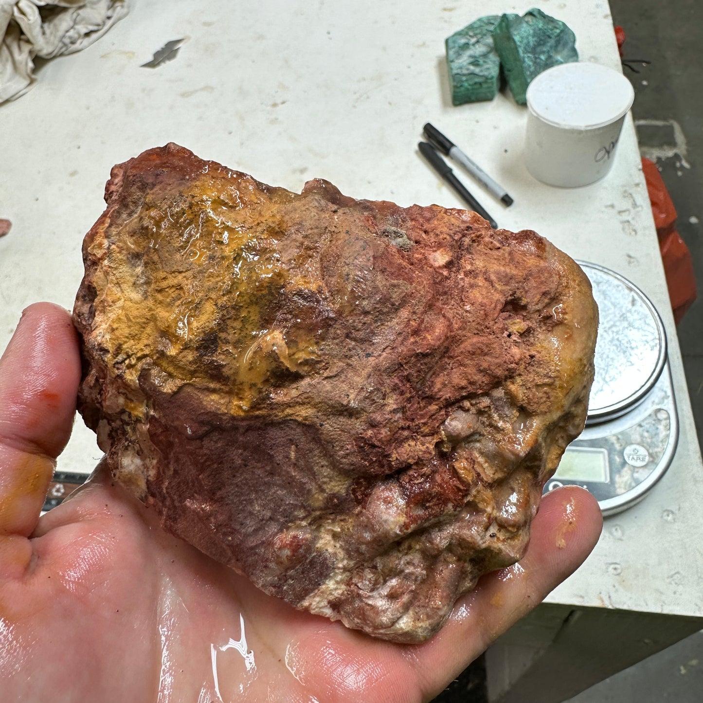 WINDY MOUNTAIN AGATE Rough - 1.69 Pounds