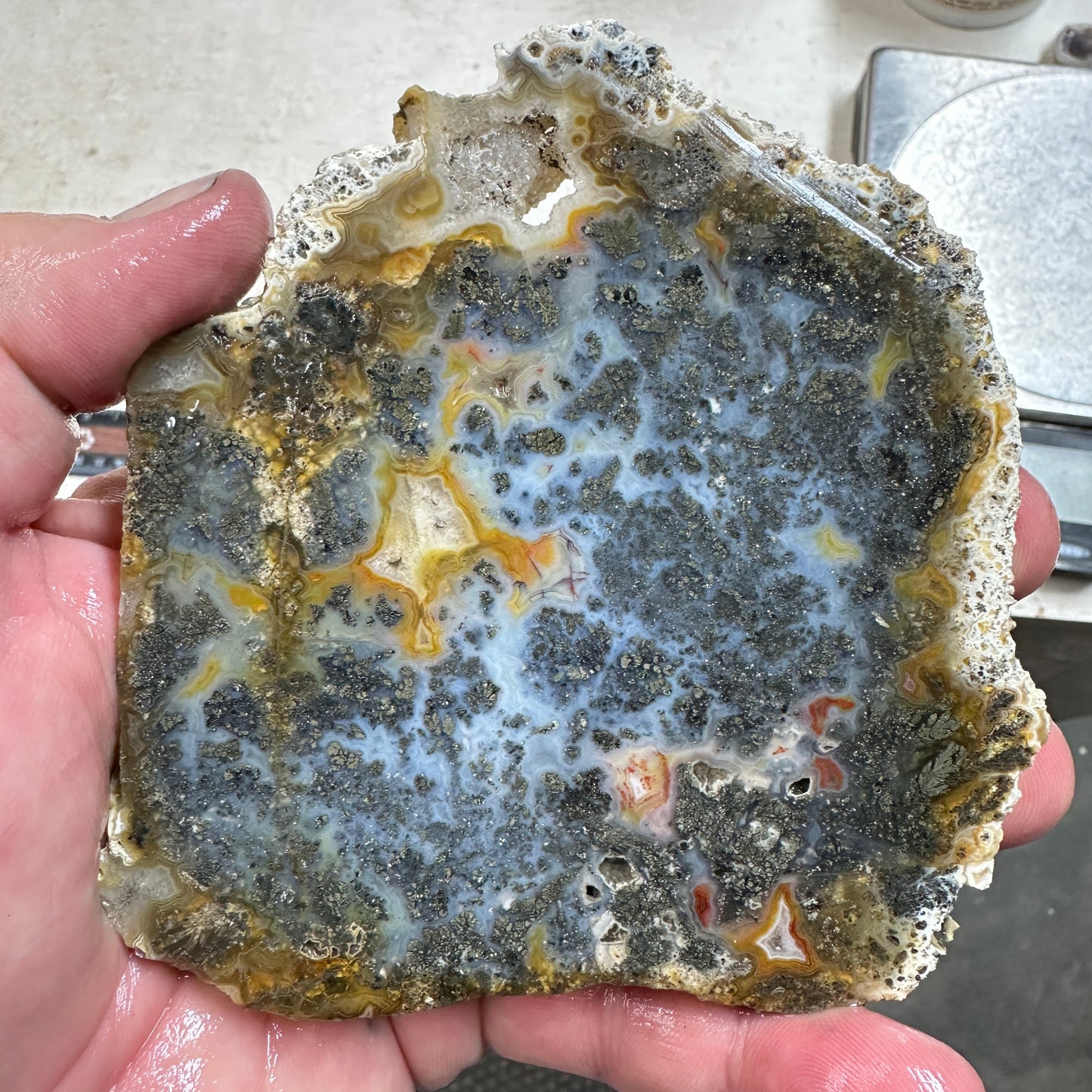 MARCASITE AGATE Slab - 189 grams