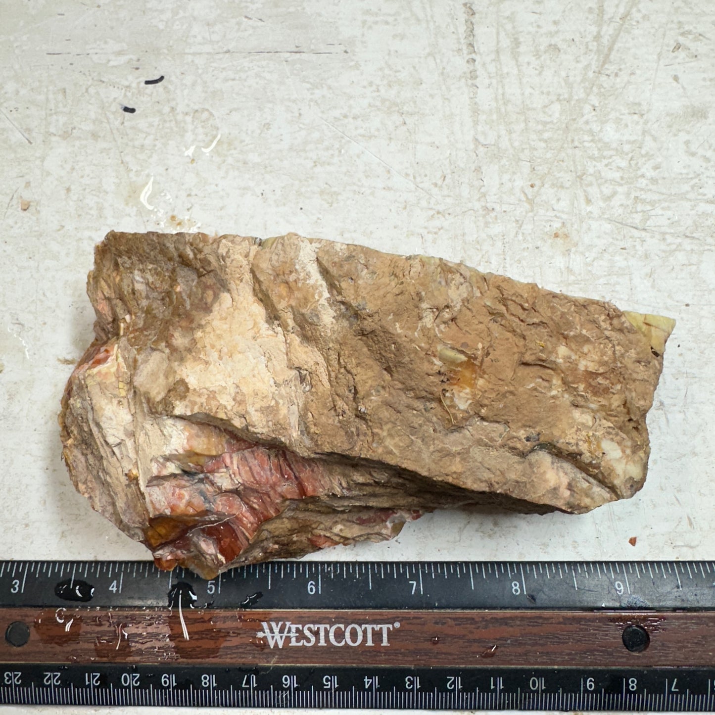 Red HOWARDITE Faced Rough - 19.8ozs