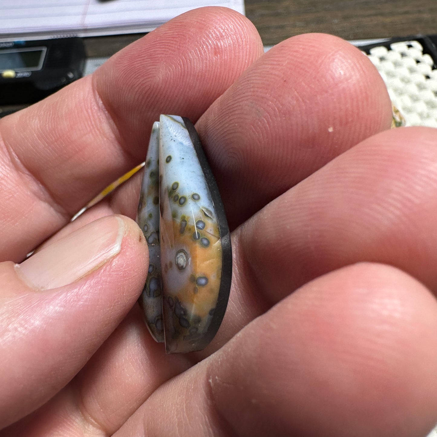 RIVER JASPER cabochon pair