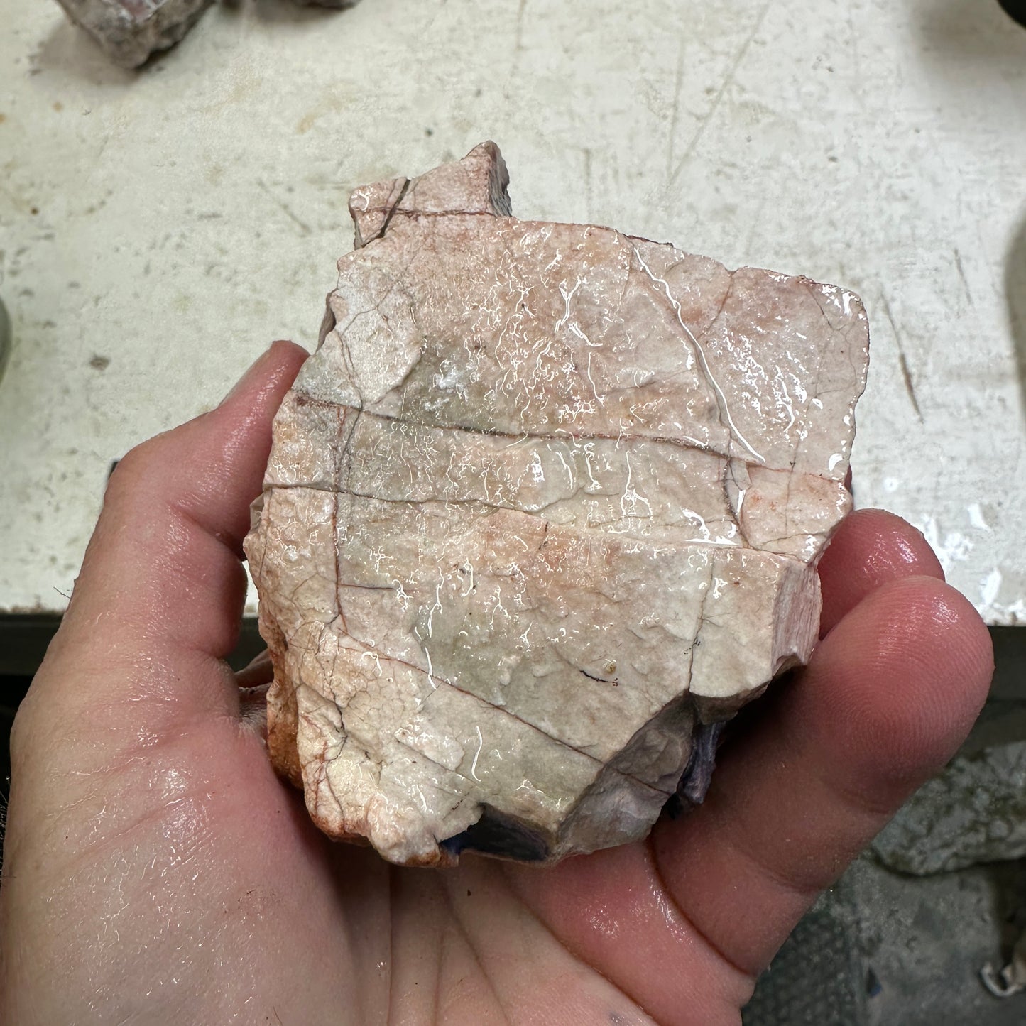 TIFFANY STONE Rough - 1.53 Pounds