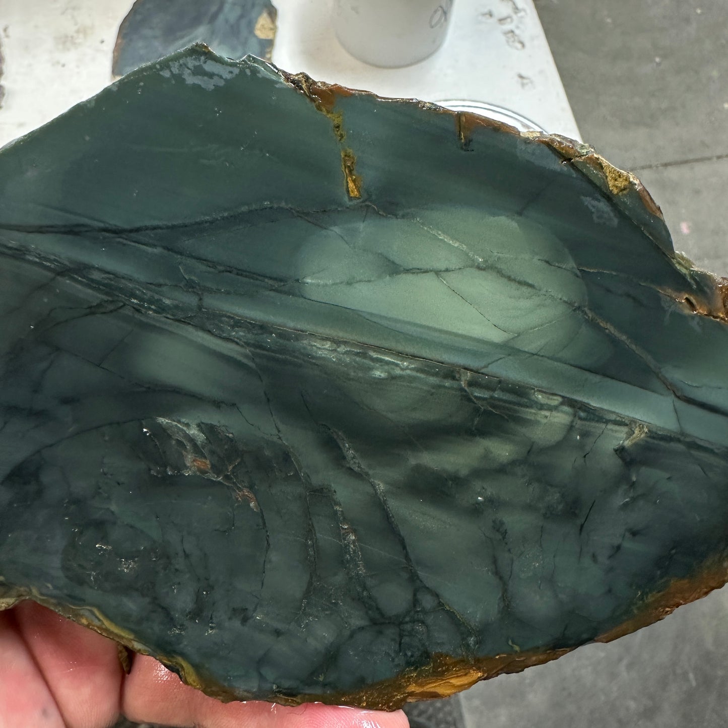 BLUE MOUNTAIN JASPER Slab - 224 grams