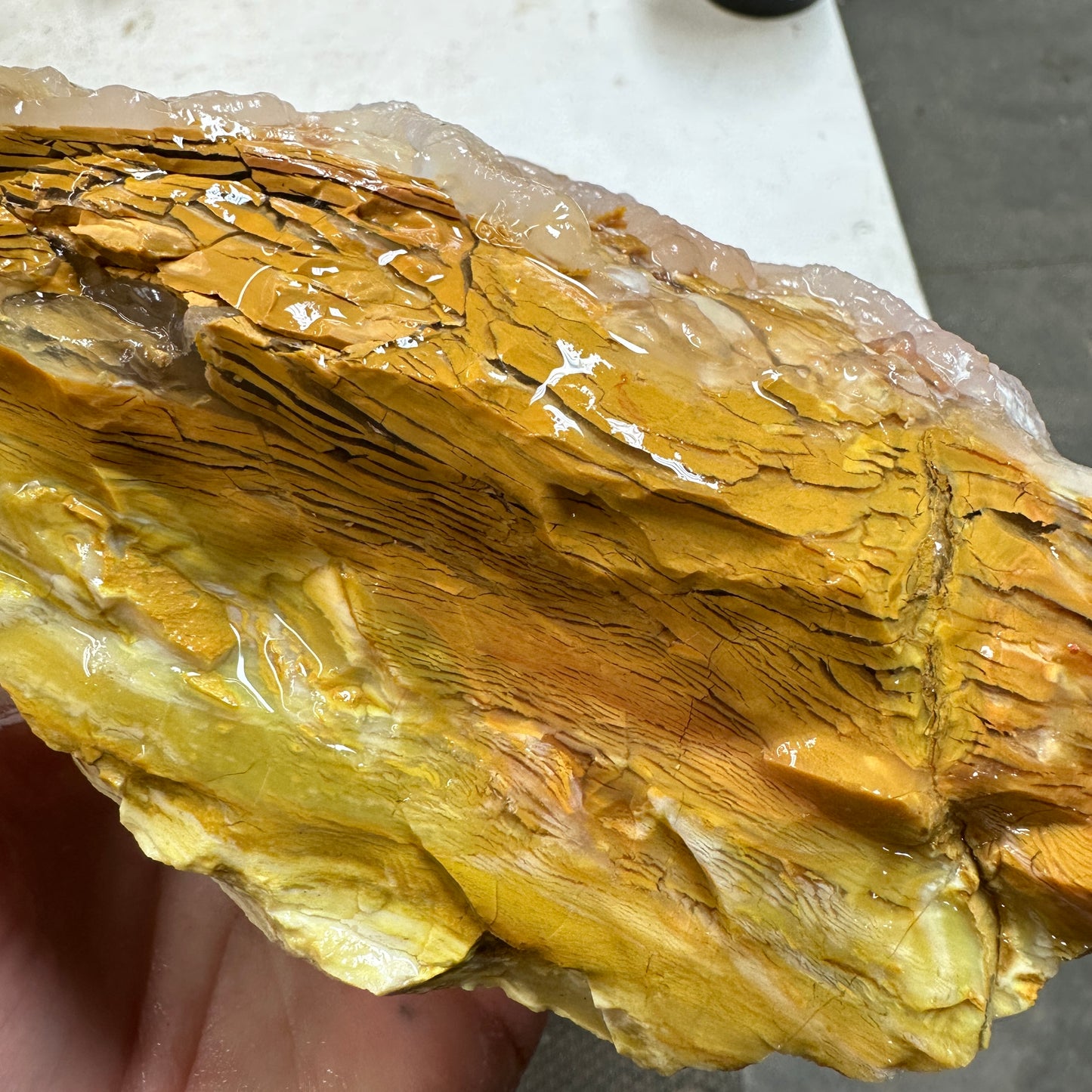 GOLDEN HOWARDITE Faced Rough - 2.58 Pounds