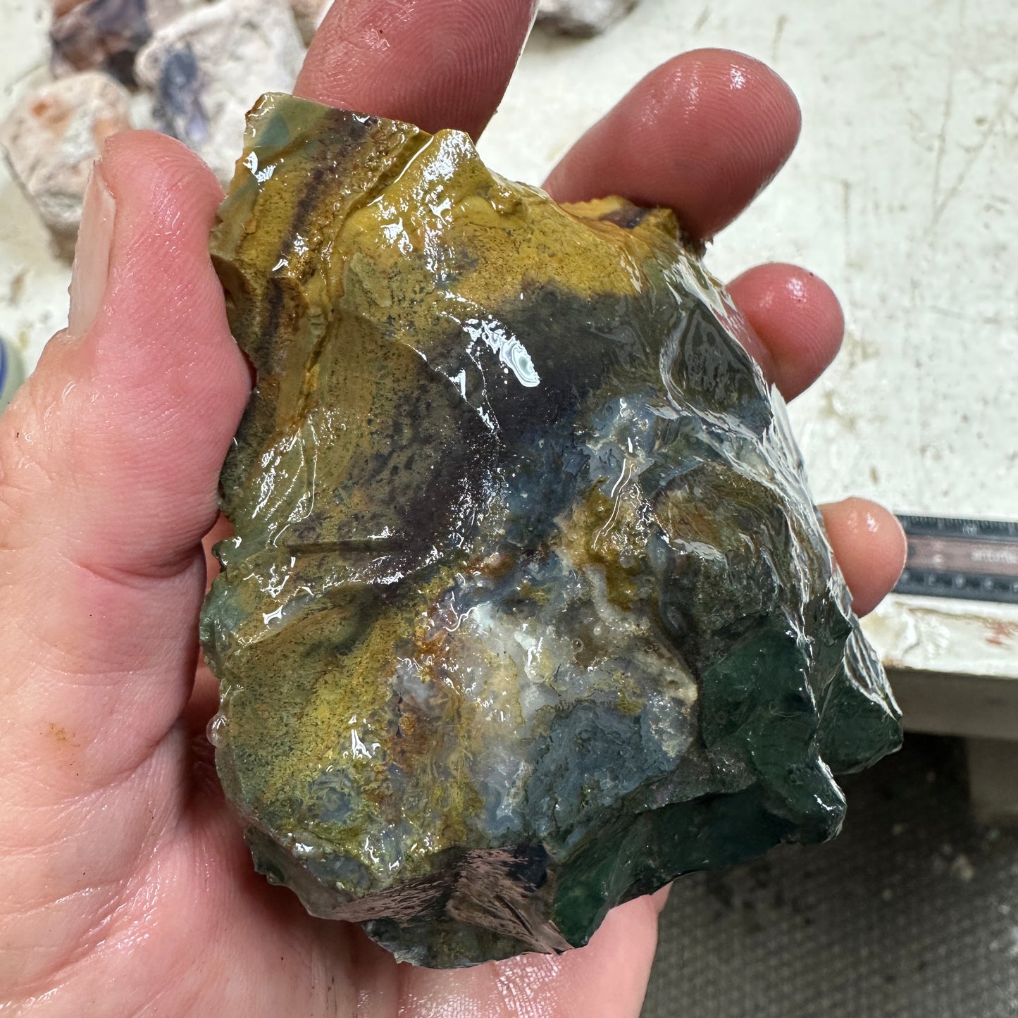 ECHO RIDGE JASPER Rough - 0.93 Pounds