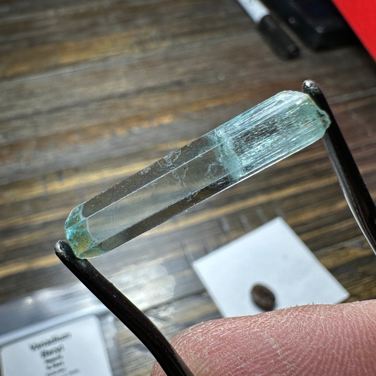 9.54ct VANADIUM BERYL Facet Rough