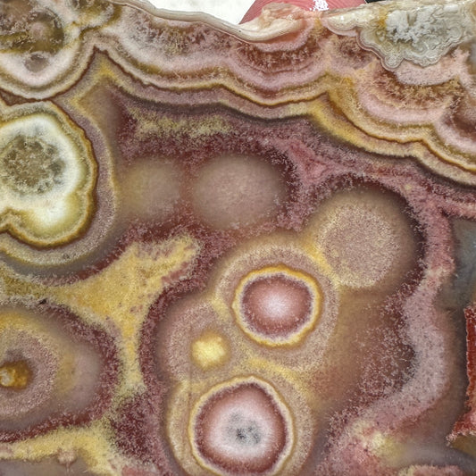 CRAZY LACE AGATE Slab - 175 grams