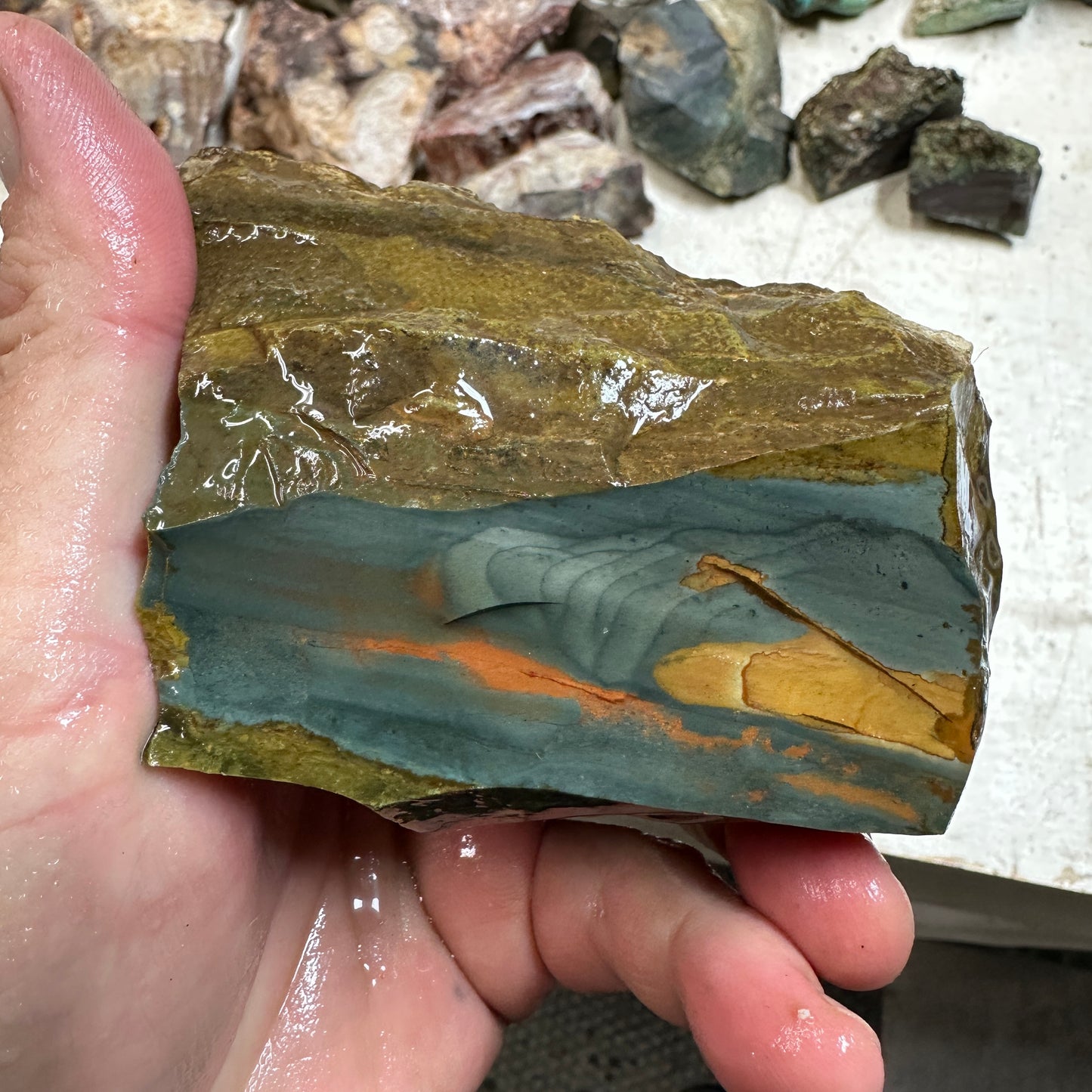 Orbed ECHO RIDGE JASPER Rough - 1.17 Pounds