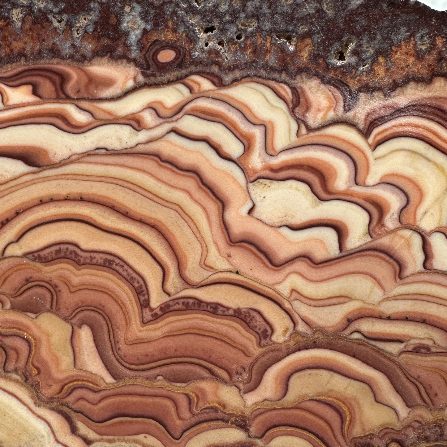 ROLLING HILLS DOLOMITE Slab - 276 grams