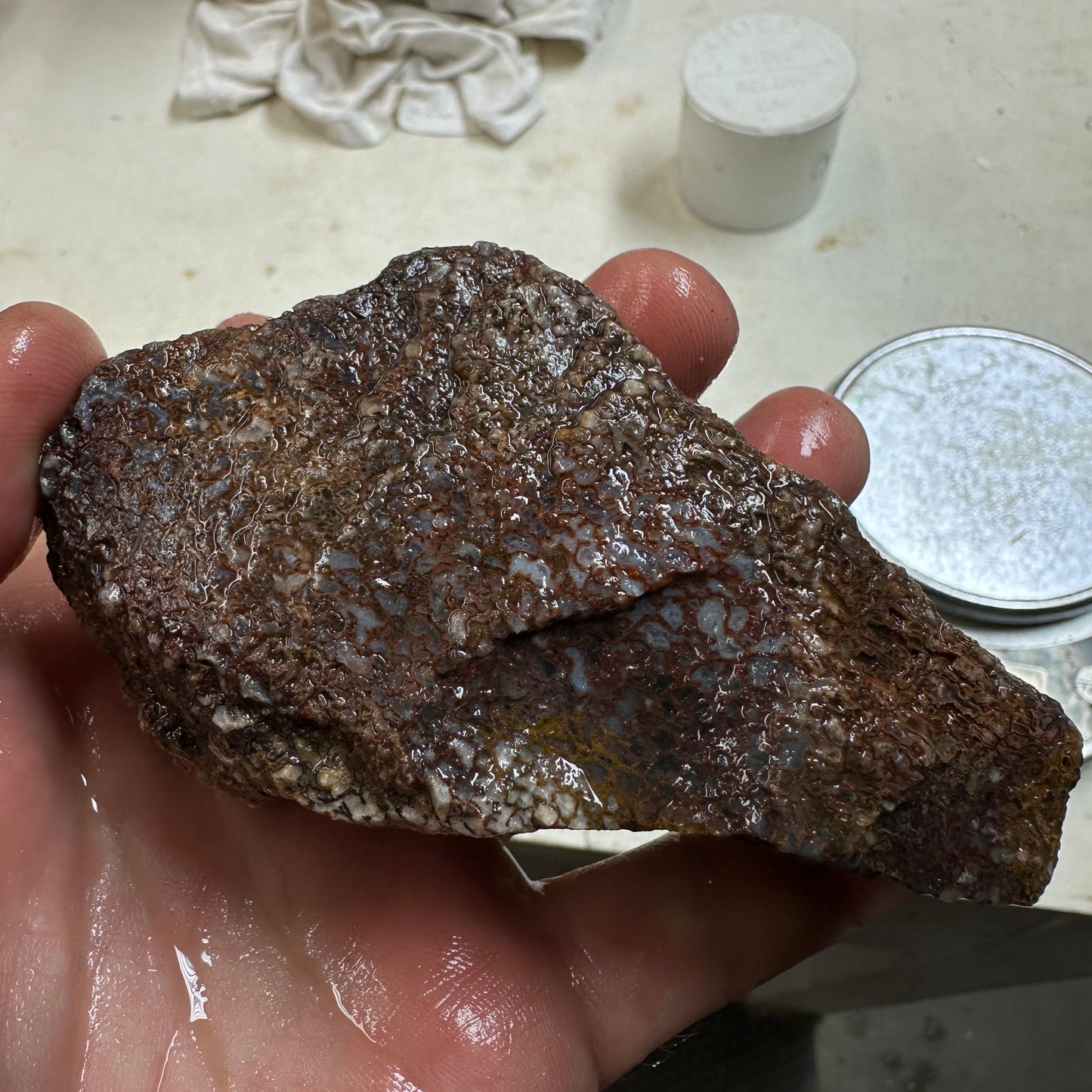 GEMBONE Dinosaur Bone Faced Rough - 0.89 Pounds