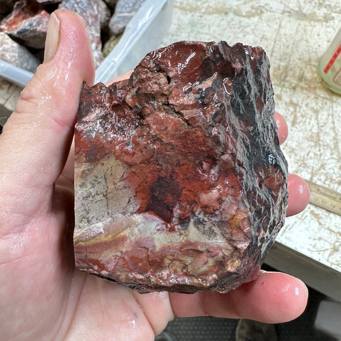 MESCALERO JASPER Faced Rough - 1.58 Pounds