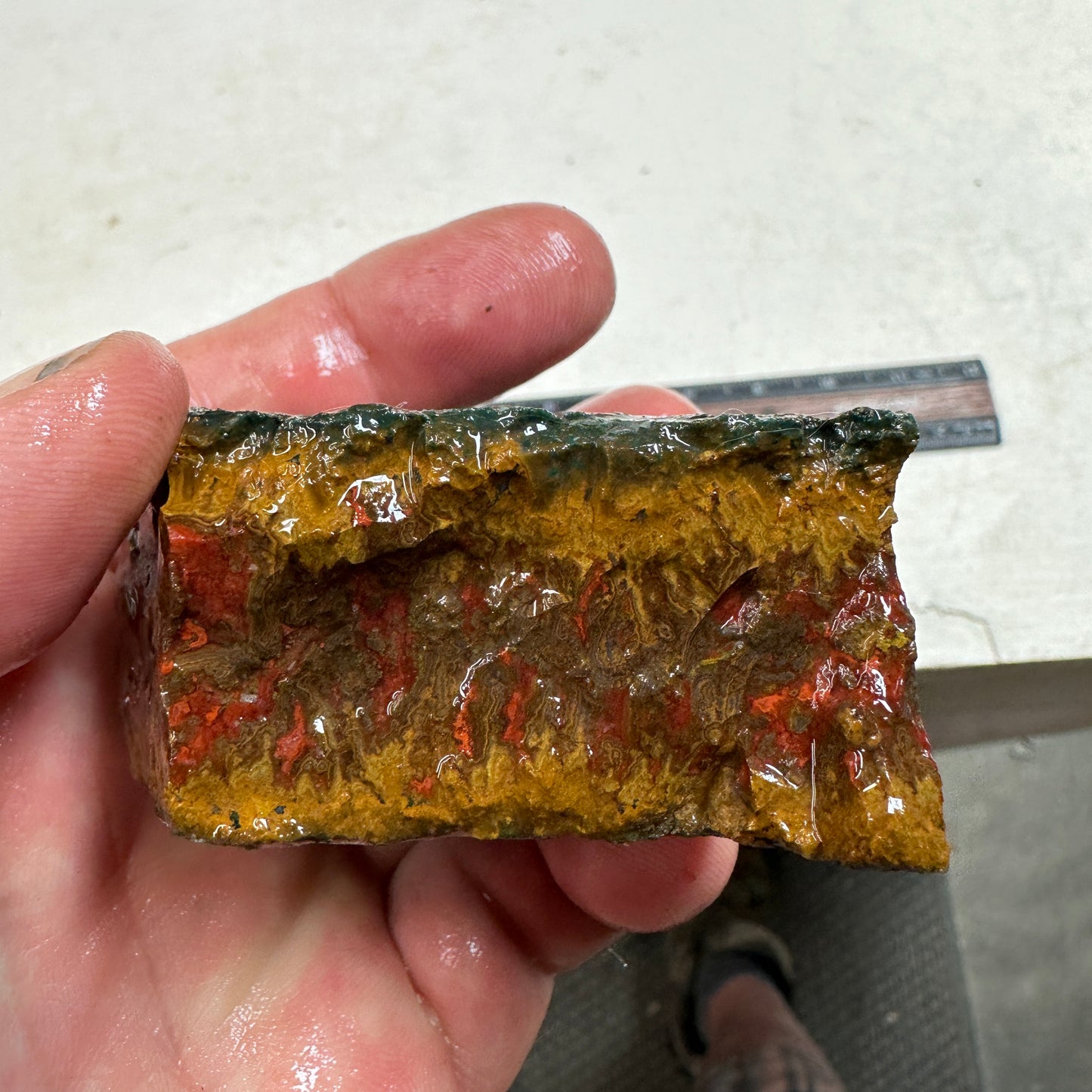 MOROCCAN SEAM AGATE Rough - 7.3ozs