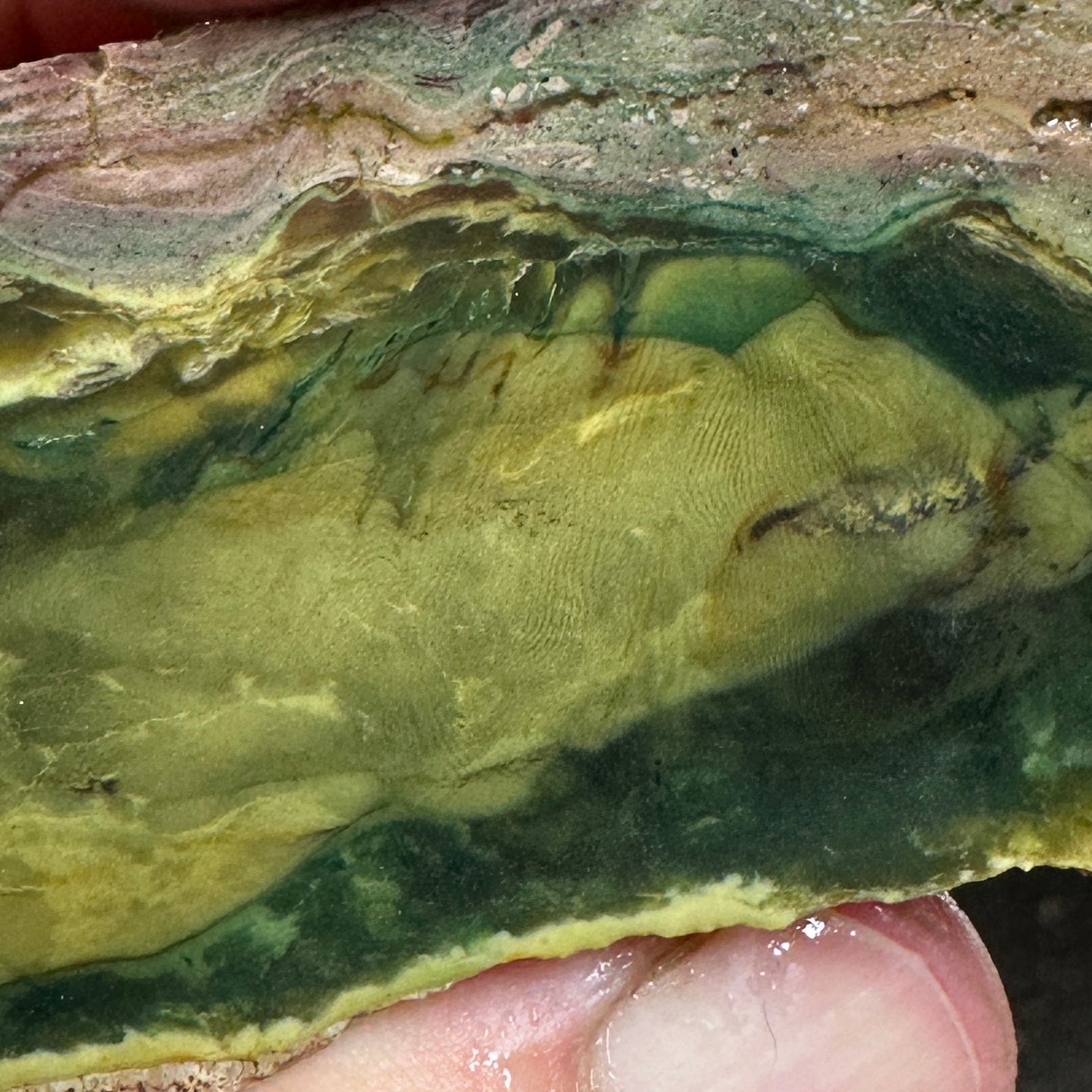 MORRISONITE JASPER Faced Rough - 0.64 Pounds