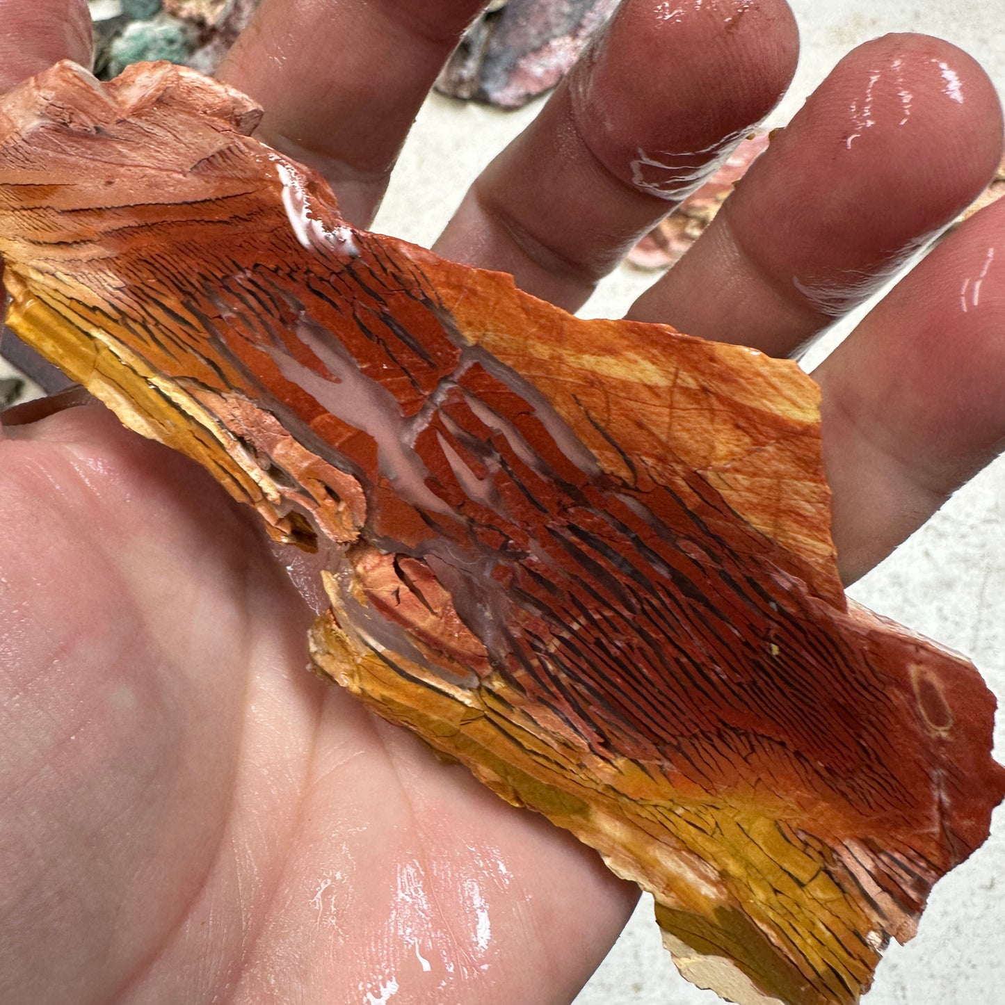 SUNSET HOWARDITE Slab - 62 grams