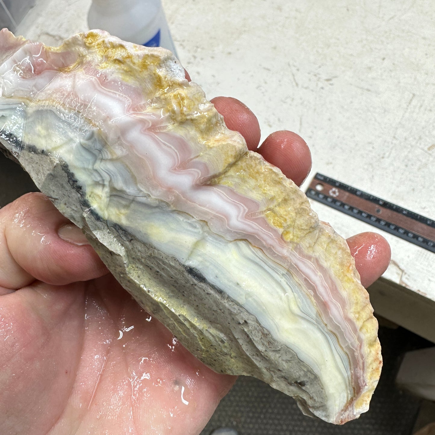 WINDY MOUNTAIN AGATE Rough - 1.09 Pounds