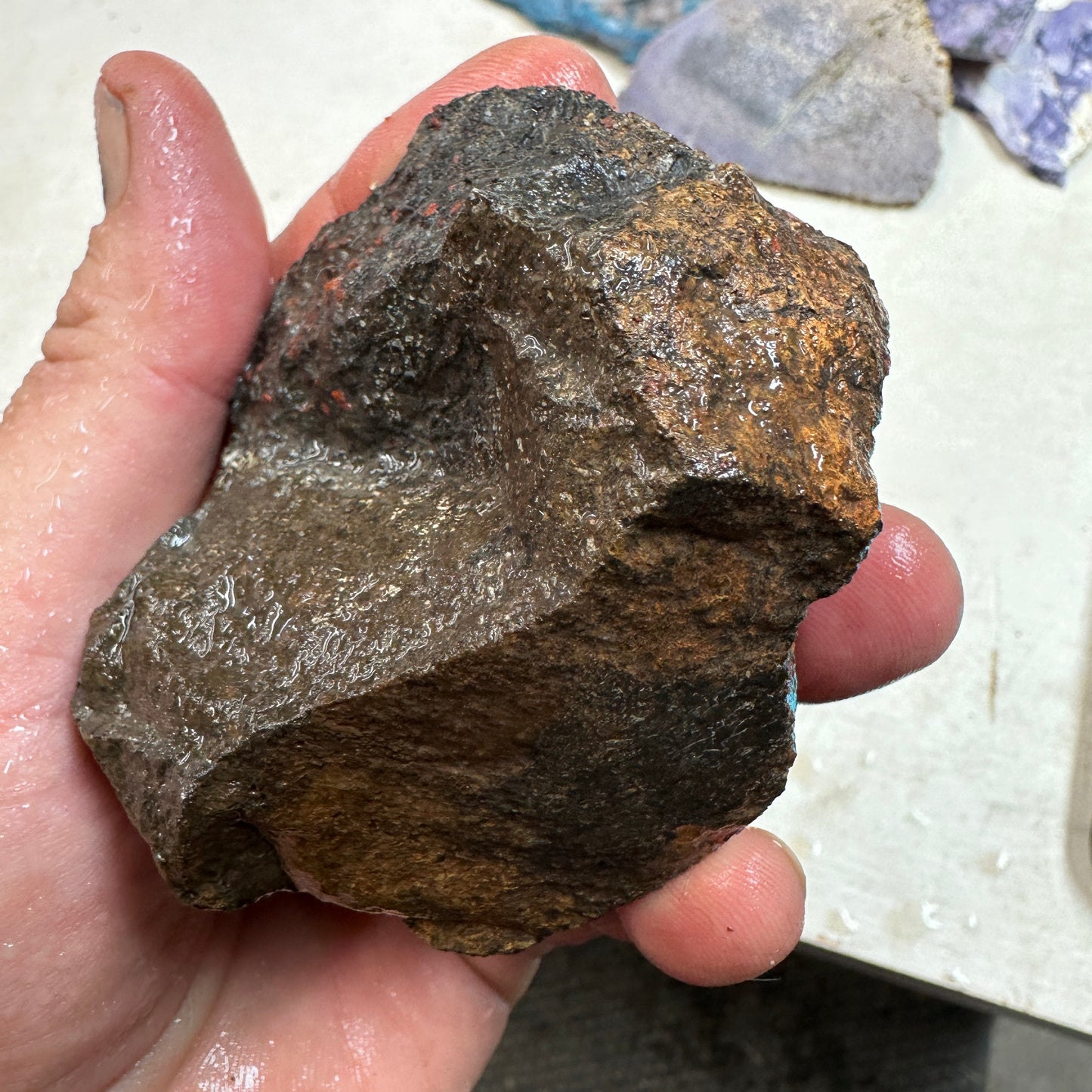 GEMBONE Dinosaur Bone Faced Rough - 0.83 Pounds