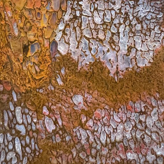 GEMBONE Dinosaur Bone Slab - 163 grams